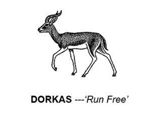 The DORKAS PROJECT